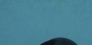 Pitria Anggraeni Siswi SMKN 1 Cipeundeuy